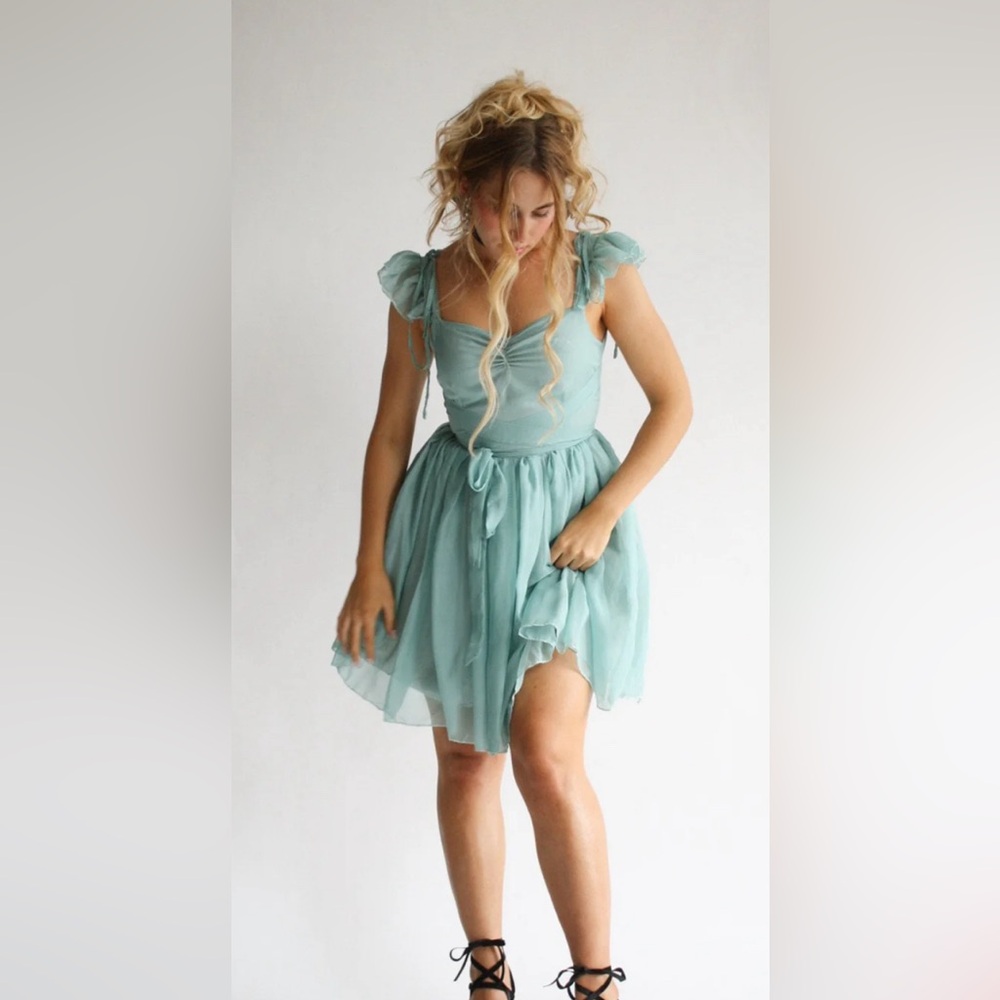 NWT Wild Rose & Sparrow The Degas Dress in Tutu Blue Size XL